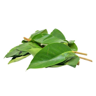 Wholesale BAY LEAF* Bulk Produce Fresh Fruits and Vegetables