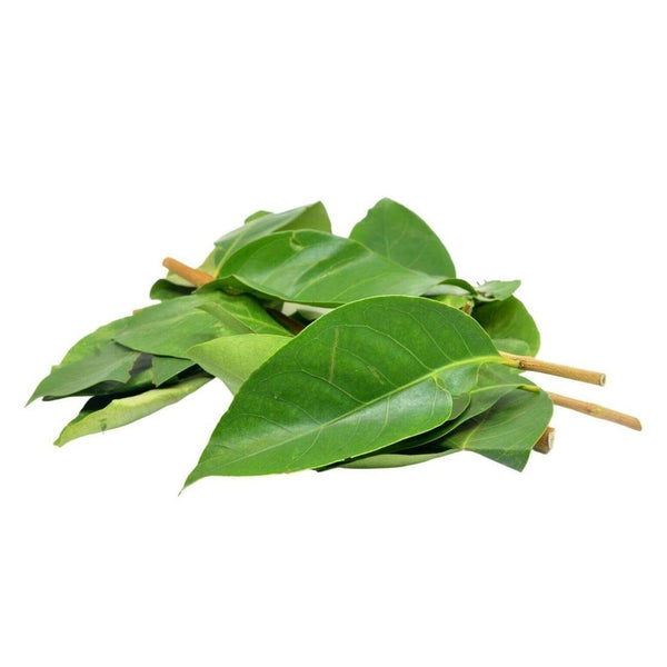 Wholesale BAY LEAF* Bulk Produce Fresh Fruits and Vegetables