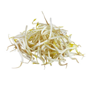 Wholesale BEAN SPROUTS Bulk Produce Fresh Fruits and Vegetables