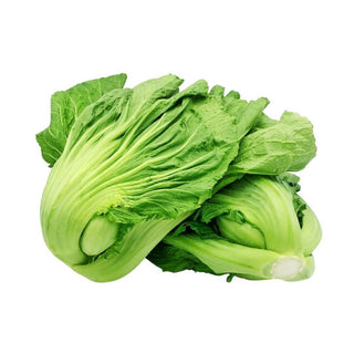 Wholesale BIG MUSTARD GREEN Bulk Produce Fresh Fruits and Vegetables