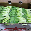 Wholesale BOK CHOY HEART* Bulk Produce Fresh Fruits and Vegetables