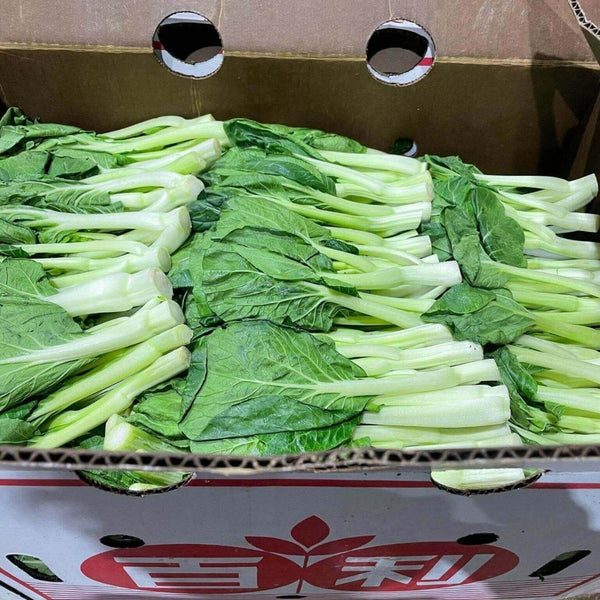 Wholesale BOK CHOY HEART* Bulk Produce Fresh Fruits and Vegetables