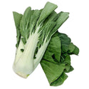 Wholesale BOK CHOY Bulk Produce Fresh Fruits and Vegetables