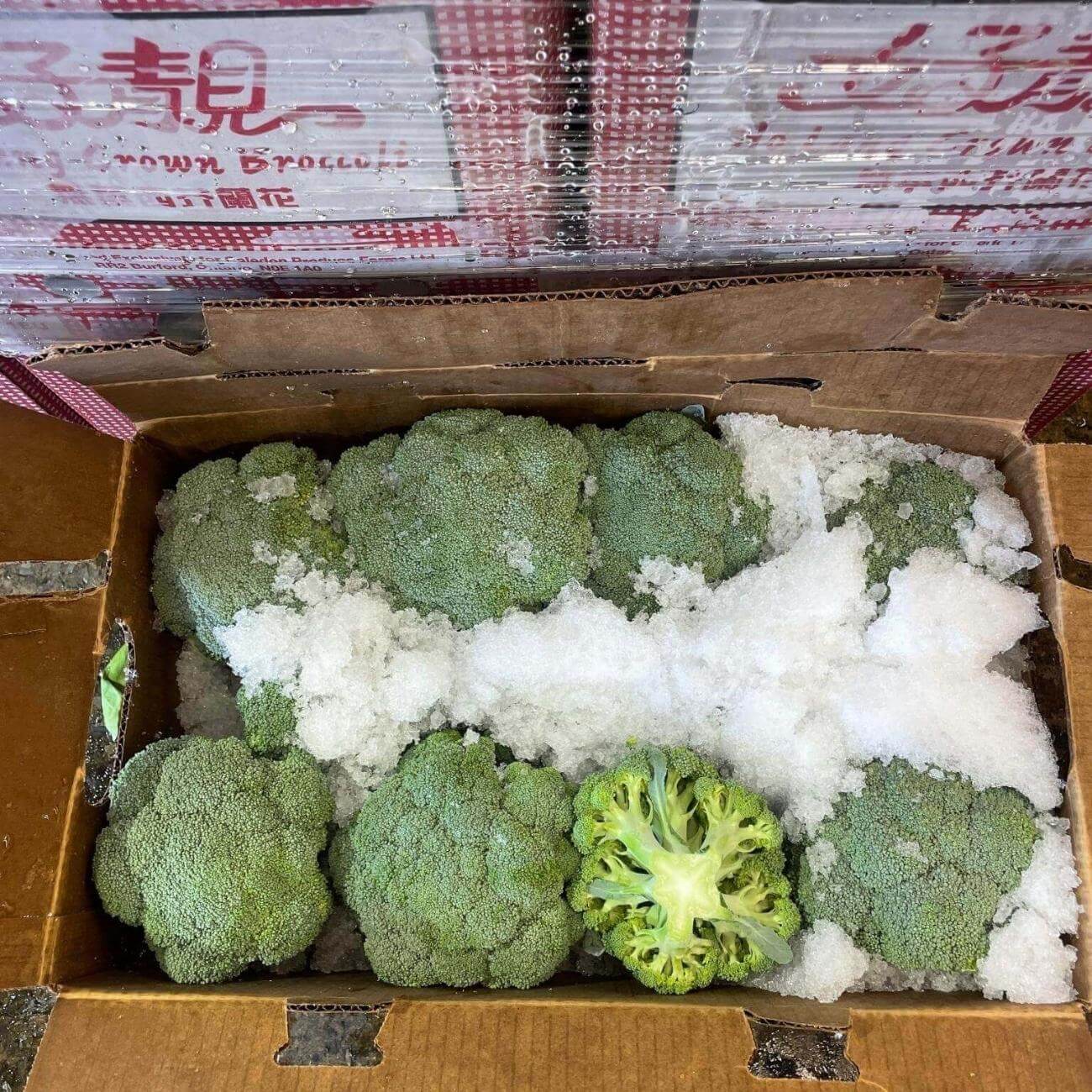 SHOP WHOLESALE BROCCOLI CROWN Purvey'd