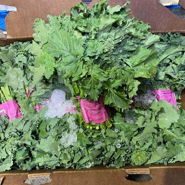 Wholesale BROCCOLI RABE* Bulk Produce Fresh Fruits and Vegetables