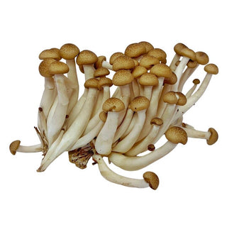 Wholesale BROWN BEECH MUSHROOM* Bulk Produce Fresh Fruits and Vegetables