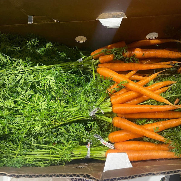 Wholesale CARROT (BUNCHED)* Bulk Produce Fresh Fruits and Vegetables