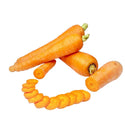 Wholesale CARROT Bulk Produce Fresh Fruits and Vegetables