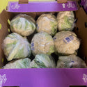 Wholesale CAULIFLOWER 9 BENGARD Bulk Produce Fresh Fruits and Vegetables