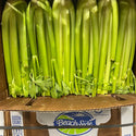 Wholesale CELERY 24 BEACHSIDE Bulk Produce Fresh Fruits and Vegetables