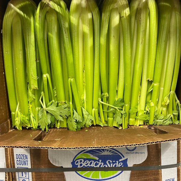 Wholesale CELERY 24 BEACHSIDE Bulk Produce Fresh Fruits and Vegetables