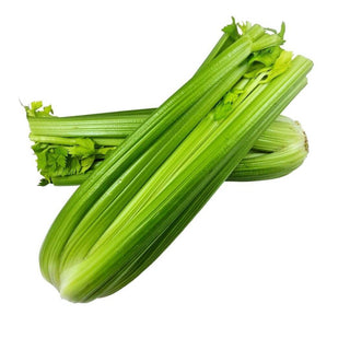 Wholesale CELERY #24 Bulk Produce Fresh Fruits and Vegetables