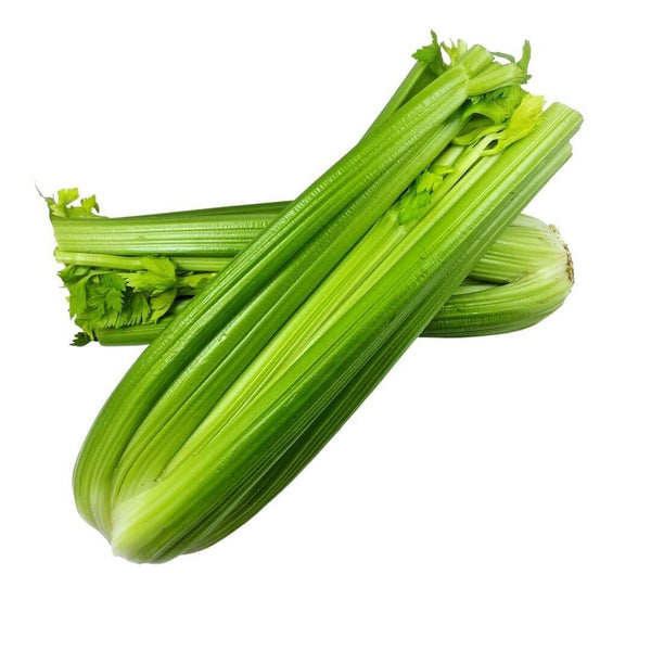 Wholesale CELERY #30* Bulk Produce Fresh Fruits and Vegetables