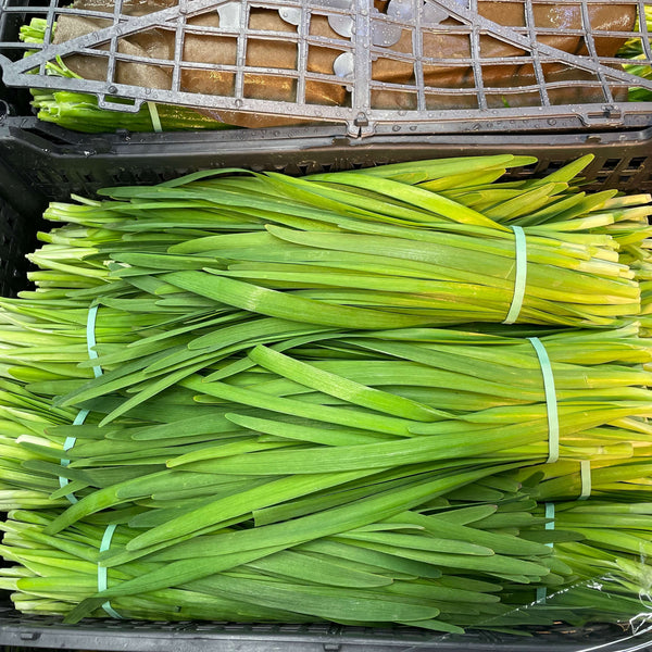 Wholesale CHINESE CHIVES BALLY Bulk Produce Fresh Fruits and Vegetables