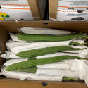 Wholesale CHINESE OKRA* 30LB Bulk Produce Fresh Fruits and Vegetables