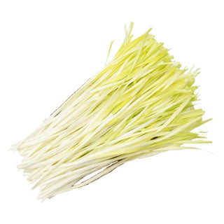 Wholesale CHIVE YELLOW* Bulk Produce Fresh Fruits and Vegetables
