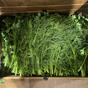 Wholesale CHRYSANTHEMUM LEAVES (TONG HAO)* Bulk Produce Fresh Fruits and Vegetables