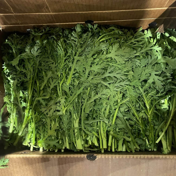 Wholesale CHRYSANTHEMUM LEAVES (TONG HAO)* Bulk Produce Fresh Fruits and Vegetables