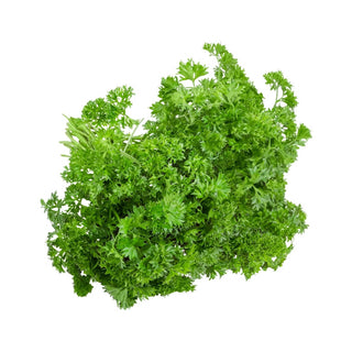 Wholesale CURLY PARSLEY* Bulk Produce Fresh Fruits and Vegetables