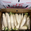 Wholesale DAIKON RED BOX Bulk Produce Fresh Fruits and Vegetables