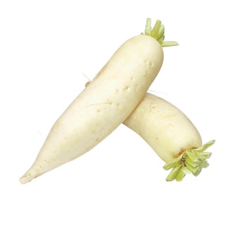 Wholesale DAIKON Bulk Produce Fresh Fruits and Vegetables