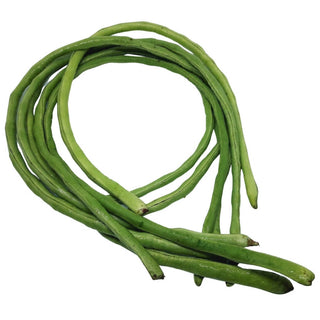 Wholesale DARK GREEN LONG BEAN* Bulk Produce Fresh Fruits and Vegetables