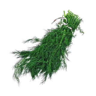 Wholesale DILL* Bulk Produce Fresh Fruits and Vegetables