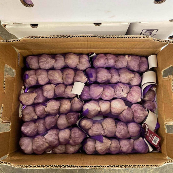 FRESH GARLIC