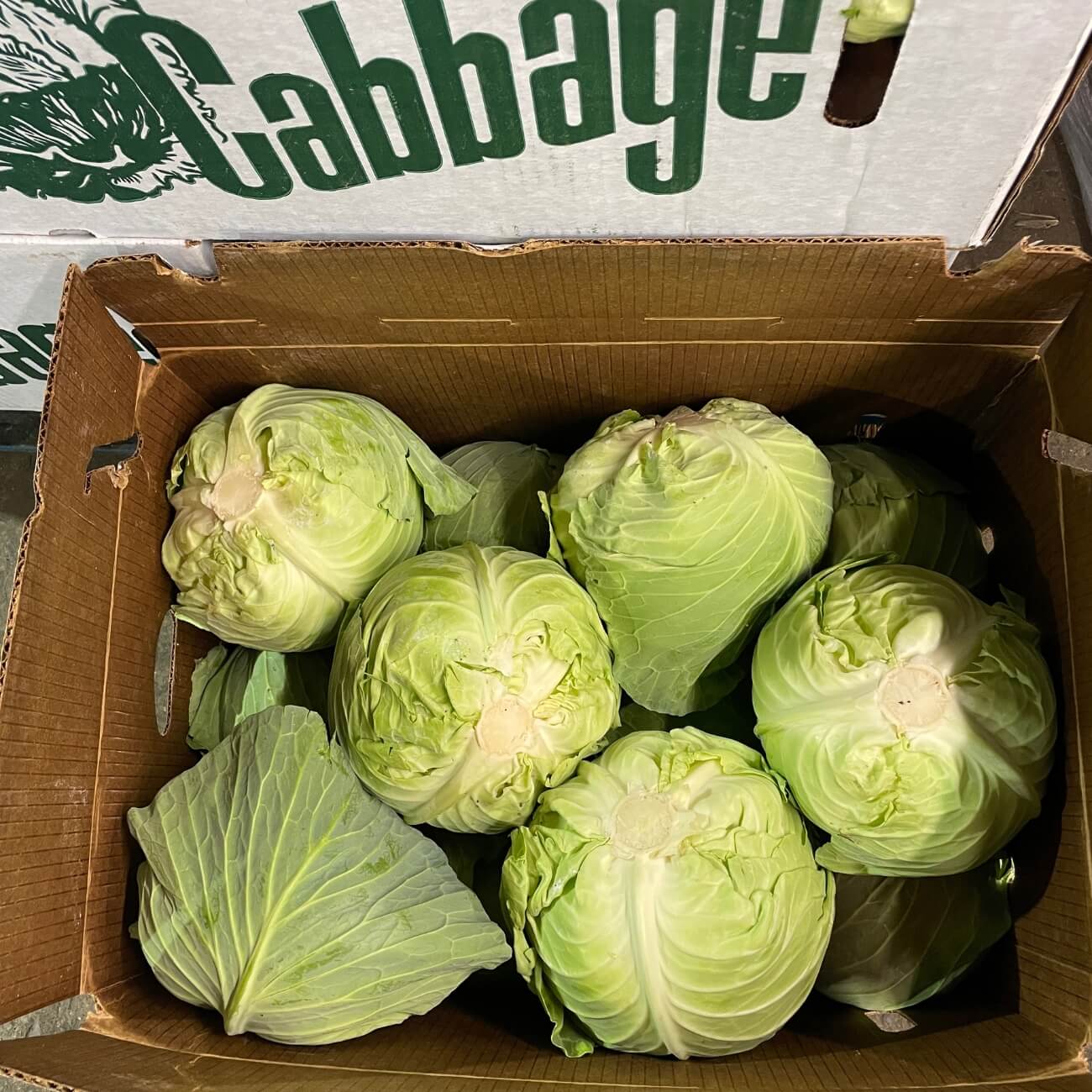SHOP WHOLESALE GREEN CABBAGE (BOX) | Purvey'd