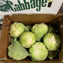 Wholesale GREEN CABBAGE BOX CABBAGE BOX Bulk Produce Fresh Fruits and Vegetables