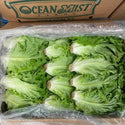 Wholesale GREEN LEAF OCEAN MIST Bulk Produce Fresh Fruits and Vegetables