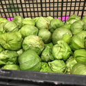 Wholesale GREEN TOMATILLO* Bulk Produce Fresh Fruits and Vegetables