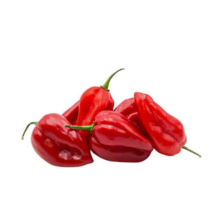 Wholesale HABENERO PEPPER* Bulk Produce Fresh Fruits and Vegetables