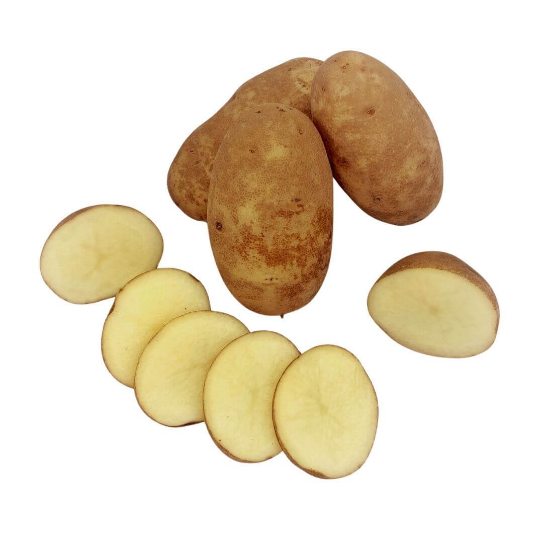 SHOP WHOLESALE IDAHO RUSSET POTATO 100 Purvey'd