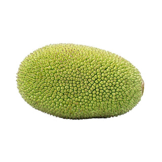 Wholesale JACKFRUIT* Bulk Produce Fresh Fruits and Vegetables