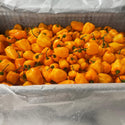 Wholesale JAMAICA HOT PEPPER* Bulk Produce Fresh Fruits and Vegetables