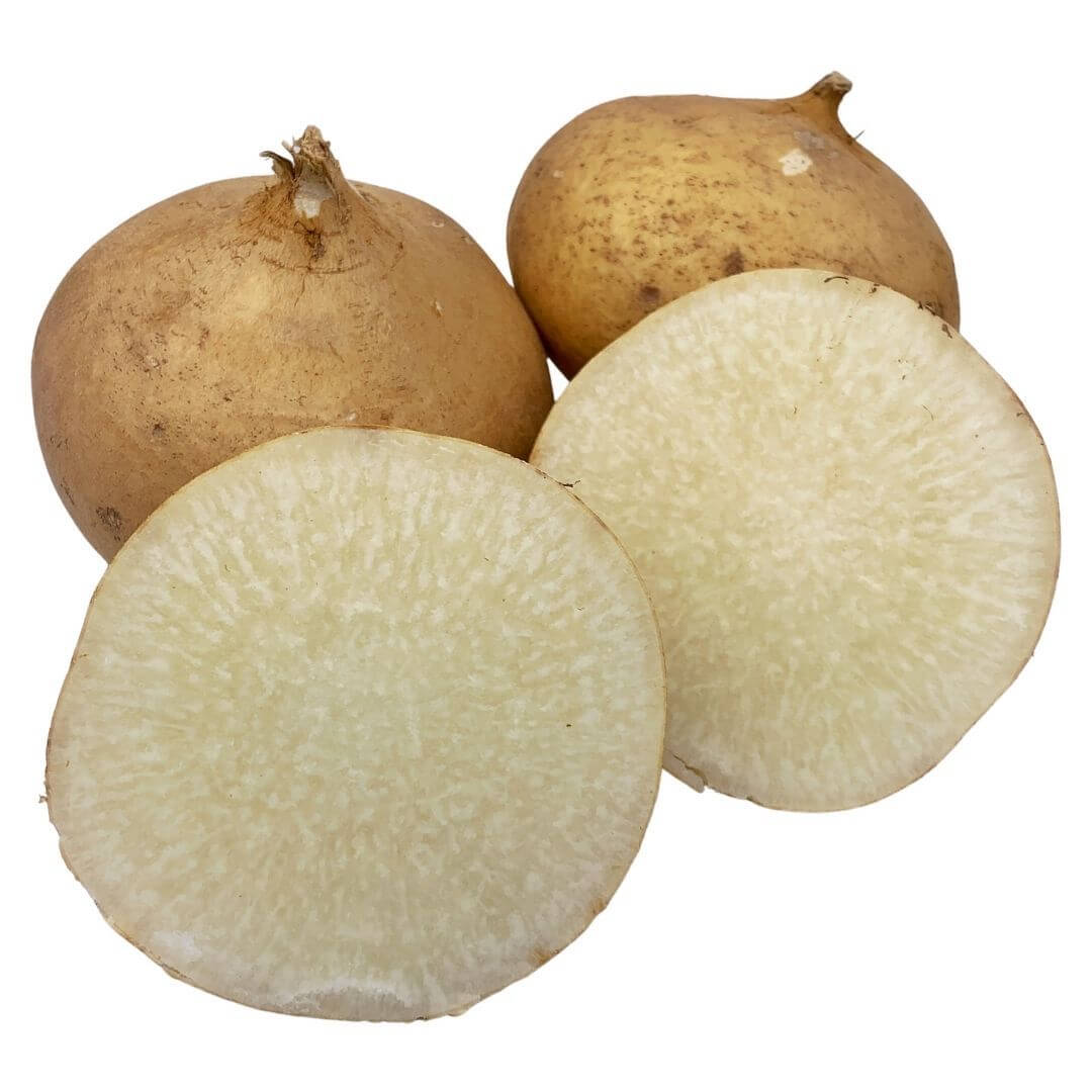 SHOP WHOLESALE JICAMA Purvey'd