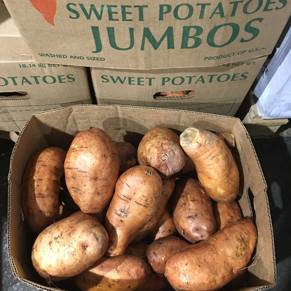 SHOP WHOLESALE YAM JUMBO