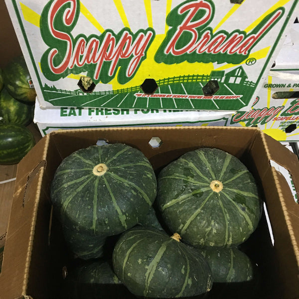 Wholesale KABOCHA SQUASH SCAPPY Bulk Produce Fresh Fruits and Vegetables