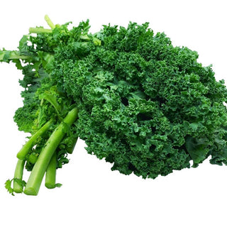 Wholesale KALE Bulk Produce Fresh Fruits and Vegetables