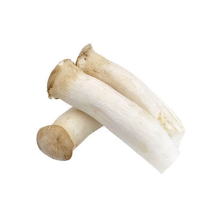 Wholesale KING OYSTER MUSHROOM Bulk Produce Fresh Fruits and Vegetables