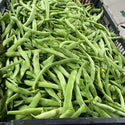 Wholesale KY BEAN* Bulk Produce Fresh Fruits and Vegetables