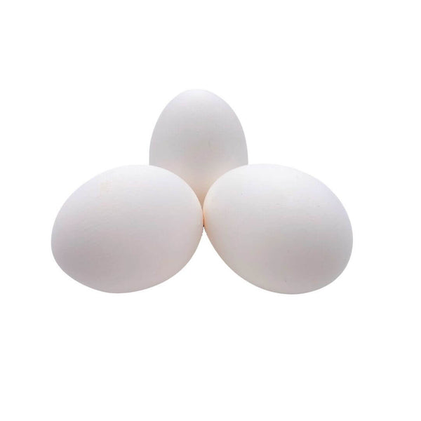 Wholesale EGG LARGE WHITE Bulk Produce Fresh Fruits and Vegetables