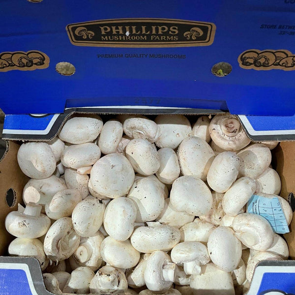 Wholesale WHITE MUSHROOM (LARGE)* Bulk Produce Fresh Fruits and Vegetables