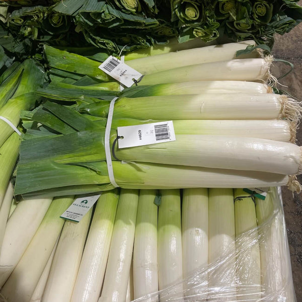 Wholesale LEEK CANADA BUNCH Bulk Produce Fresh Fruits and Vegetables