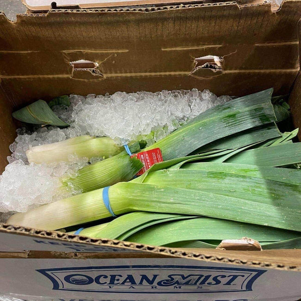 Wholesale LEEK OCEAN MIST Bulk Produce Fresh Fruits and Vegetables