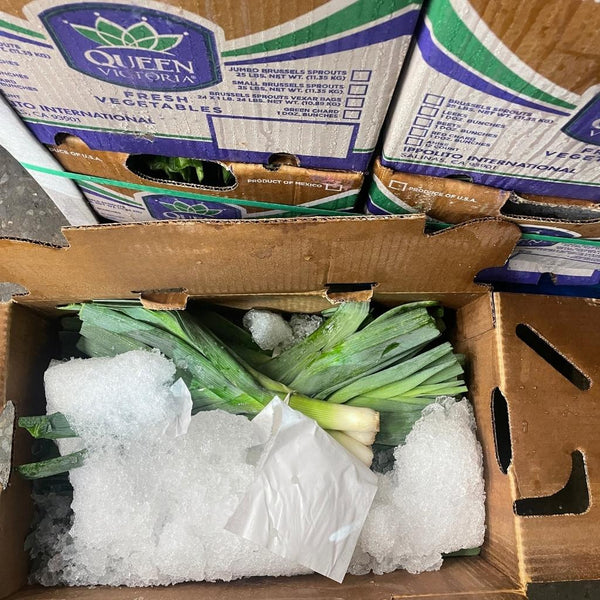 Wholesale LEEK QUEEN VICTORIA Bulk Produce Fresh Fruits and Vegetables