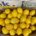 Wholesale LEMON #115 SK Bulk Produce Fresh Fruits and Vegetables