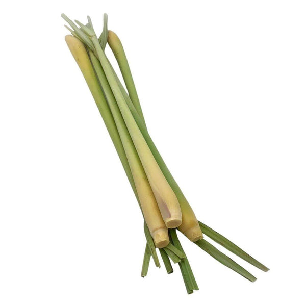 Wholesale LEMON GRASS* Bulk Produce Fresh Fruits and Vegetables