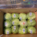 Wholesale LETTUCE 24 BEACHSDIE Bulk Produce Fresh Fruits and Vegetables